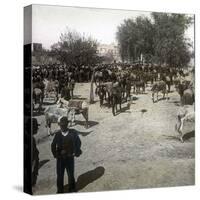 Murcia (Spain), the Fair, Circa 1885-1890-Leon, Levy et Fils-Stretched Canvas
