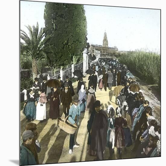 Murcie (Spain), the Paseo Del Malecon, Circa 1885-1890-Leon, Levy et Fils-Mounted Photographic Print