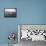 Murderers Row-null-Framed Stretched Canvas displayed on a wall