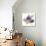 Mures-Sandra Jacobs-Giclee Print displayed on a wall