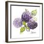 Mures-Sandra Jacobs-Framed Giclee Print