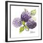 Mures-Sandra Jacobs-Framed Giclee Print