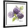 Mures-Sandra Jacobs-Framed Giclee Print