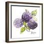 Mures-Sandra Jacobs-Framed Giclee Print