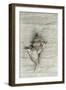 Murex Shell-Cora Niele-Framed Photographic Print