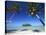 Muri Beach, Rarotonga, Cook Islands, South Pacific-Doug Pearson-Stretched Canvas