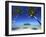 Muri Beach, Rarotonga, Cook Islands, South Pacific-Doug Pearson-Framed Photographic Print