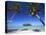 Muri Beach, Rarotonga, Cook Islands, South Pacific-Doug Pearson-Stretched Canvas