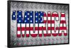 'Murica Patriotic Poster-null-Framed Poster