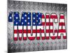 'Murica Patriotic-null-Mounted Poster