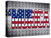 'Murica Patriotic-null-Stretched Canvas