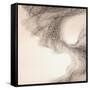 Murmuration-Lincoln Seligman-Framed Stretched Canvas