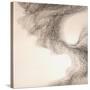 Murmuration-Lincoln Seligman-Stretched Canvas