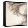 Murmuration-Lincoln Seligman-Framed Stretched Canvas