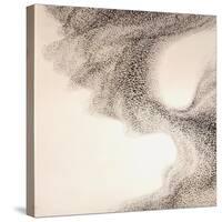 Murmuration-Lincoln Seligman-Stretched Canvas