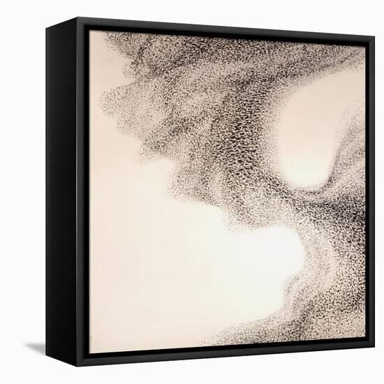 Murmuration-Lincoln Seligman-Framed Stretched Canvas