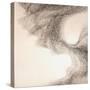 Murmuration-Lincoln Seligman-Stretched Canvas