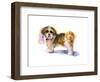 Murphy Portrait, 2016-John Keeling-Framed Giclee Print