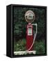 Murphy's Stout Petrol Pump, County Cork, Munster, Eire (Republic of Ireland)-Julia Thorne-Framed Stretched Canvas