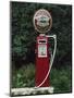 Murphy's Stout Petrol Pump, County Cork, Munster, Eire (Republic of Ireland)-Julia Thorne-Mounted Premium Photographic Print