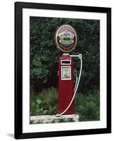 Murphy's Stout Petrol Pump, County Cork, Munster, Eire (Republic of Ireland)-Julia Thorne-Framed Photographic Print