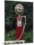 Murphy's Stout Petrol Pump, County Cork, Munster, Eire (Republic of Ireland)-Julia Thorne-Mounted Photographic Print