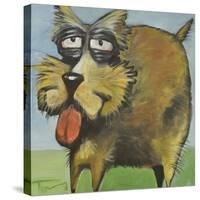 Murphy Stout Dog-Tim Nyberg-Stretched Canvas