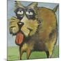 Murphy Stout Dog-Tim Nyberg-Mounted Giclee Print