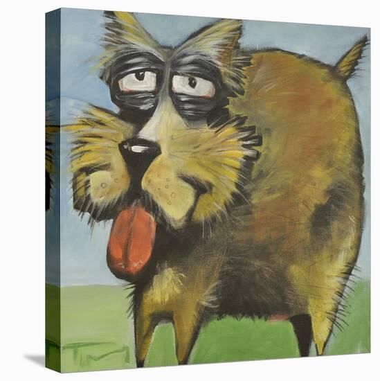 Murphy Stout Dog-Tim Nyberg-Stretched Canvas