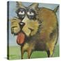 Murphy Stout Dog-Tim Nyberg-Stretched Canvas