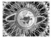Jaguar Spokes-Murray Bolesta-Art Print