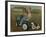Murray Diesel Tractor-David Lindsley-Framed Giclee Print