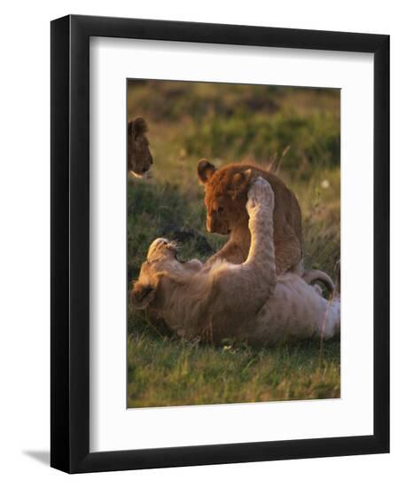 Photographic Print, , large