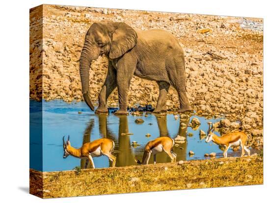 Stretched Canvas Print, , large