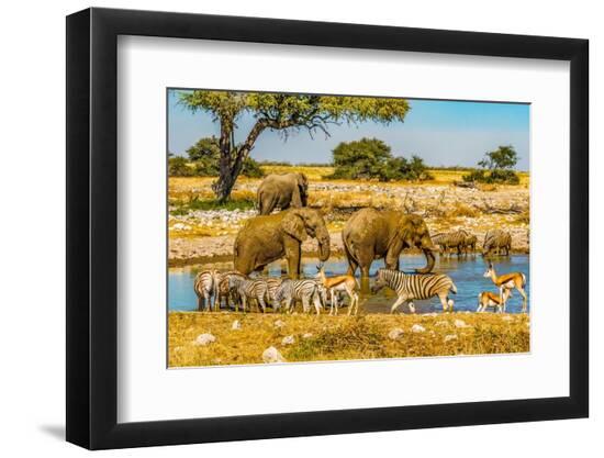 Photographic Print, , large