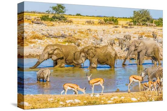 Stretched Canvas Print, , large