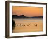 Murray River at Dawn, Mannum, South Australia, Australia-David Wall-Framed Photographic Print