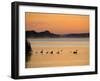 Murray River at Dawn, Mannum, South Australia, Australia-David Wall-Framed Photographic Print