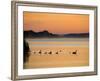 Murray River at Dawn, Mannum, South Australia, Australia-David Wall-Framed Photographic Print