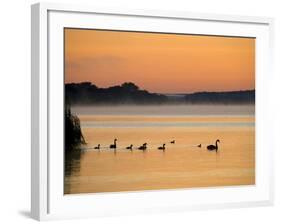 Murray River at Dawn, Mannum, South Australia, Australia-David Wall-Framed Photographic Print