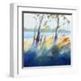 Murray River Bank-Craig Trewin Penny-Framed Art Print