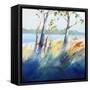 Murray River Bank-Craig Trewin Penny-Framed Stretched Canvas