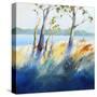 Murray River Bank-Craig Trewin Penny-Stretched Canvas