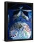 Essential Black