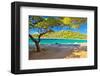 Murter Island Dalmatia Croatia-null-Framed Art Print