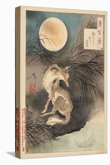 Musashi Plain Moon, 1891-92 (Nishiki-E Woodblock Print, with Bokashi)-Tsukioka Yoshitoshi-Stretched Canvas