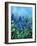 Muscaris-Pol Ledent-Framed Art Print