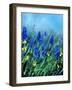 Muscaris-Pol Ledent-Framed Art Print