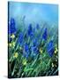 Muscaris-Pol Ledent-Stretched Canvas