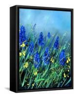 Muscaris-Pol Ledent-Framed Stretched Canvas